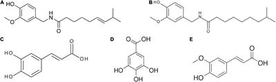 Enzyme-assisted extraction of anti-inflammatory compounds from habanero chili pepper (Capsicum chinense) seeds